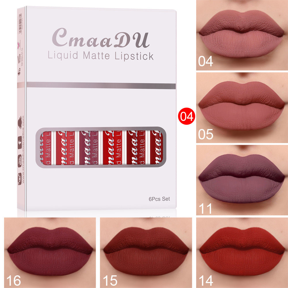 Liquid matte lipstick set box with maroon and red lip shade swatches